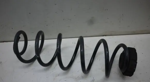 Rear coil spring