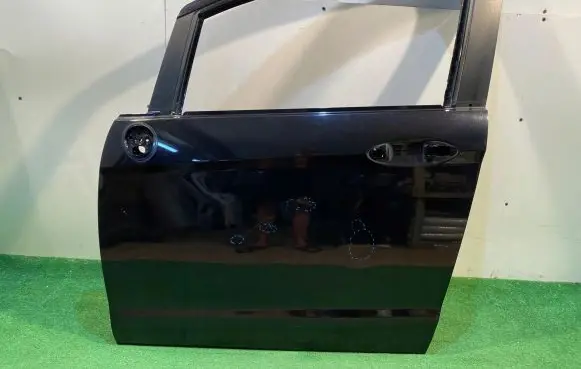 Ford B-MAX Front door