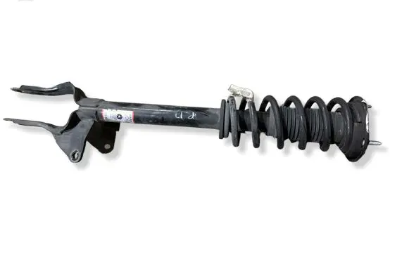 Dodge Durango III Front shock absorber with coil spring 55553E
