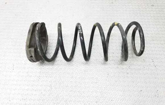 Hyundai i20 (PB PBT) Rear coil spring