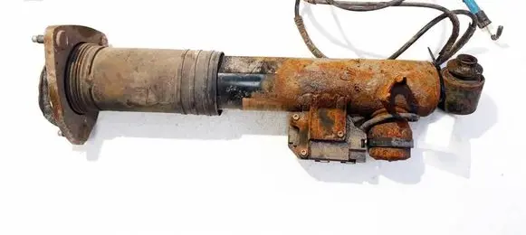 BMW X5 E70 Rear shock absorber/damper 37126794544