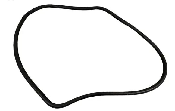 Opel Insignia A Front door rubber seal