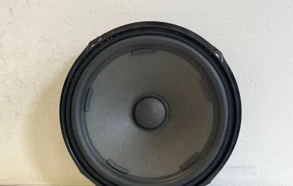 Cupra Born Front door speaker 10A035453