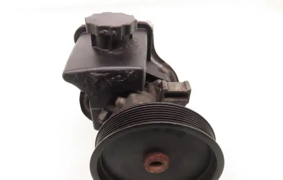 Mercedes-Benz C AMG W203 Power steering pump 7691332130