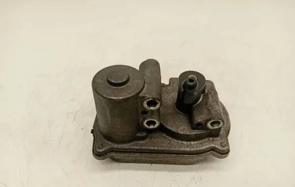 Audi A6 S6 C6 4F Intake manifold valve actuator/motor 059129086 A2C53022954 2900309541