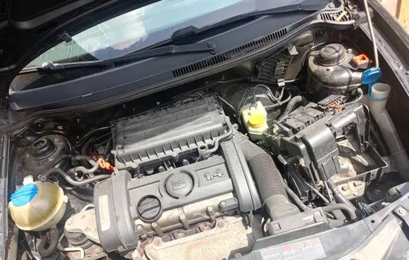 Seat Ibiza IV (6J,6P) Engine