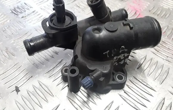 Thermostat/thermostat housing
