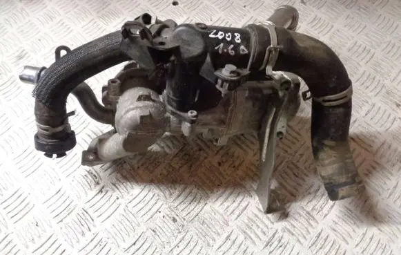 Peugeot 2008 I EGR valve 505639080 2042518369