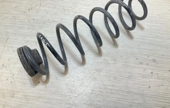 Skoda Fabia Mk3 (NJ) Rear coil spring