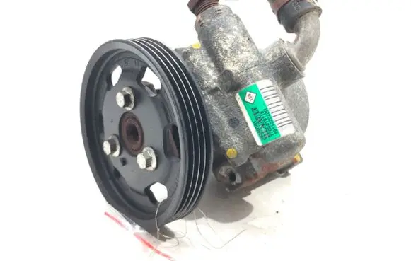 Renault Thalia II Power steering pump 491102028R
