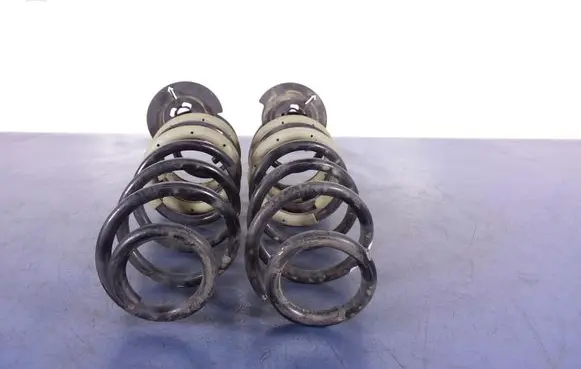 Ford Ecosport Rear coil spring