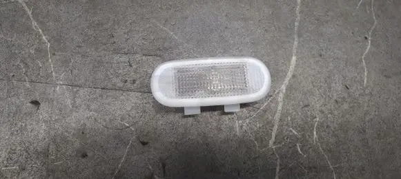 Renault Laguna III Headlining lighting console trim 8200163892