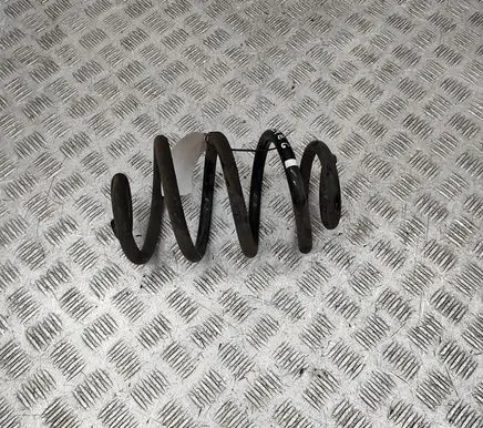 Nissan Leaf II (ZE1) Rear coil spring 550205SJ1B