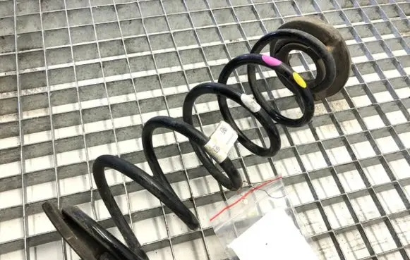 Rear coil spring