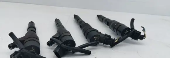 Peugeot 406 Fuel injector 9635196580 0445110008 0445110