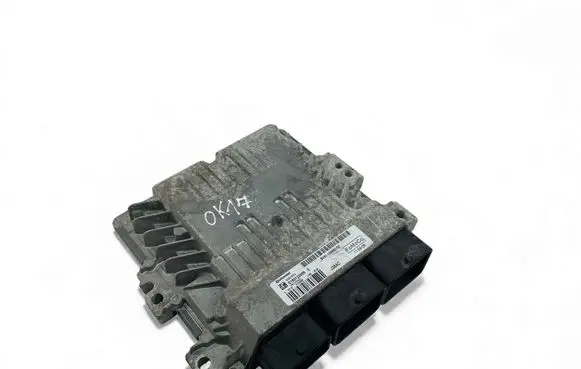 Engine control unit/module ECU