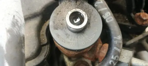 Dacia Sandero Fuel injector 8201108033 0445110485