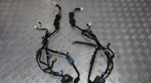 Rear door wiring loom