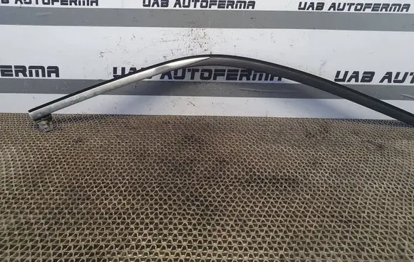 Citroen C4 II Picasso Front door glass trim molding 9677096480