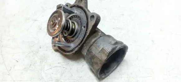 Thermostat/thermostat housing