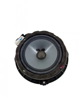 Rear door speaker