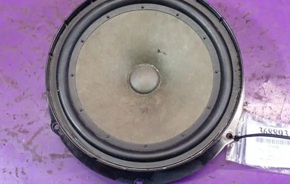 Front door speaker