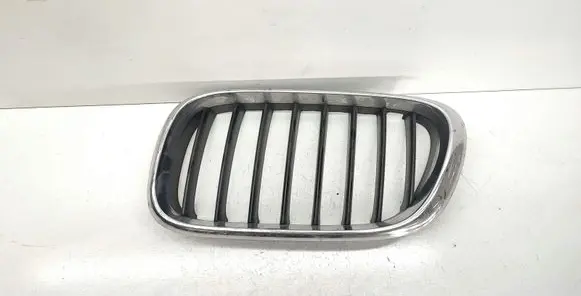 BMW X5 E53 Front bumper upper radiator grill 8247673