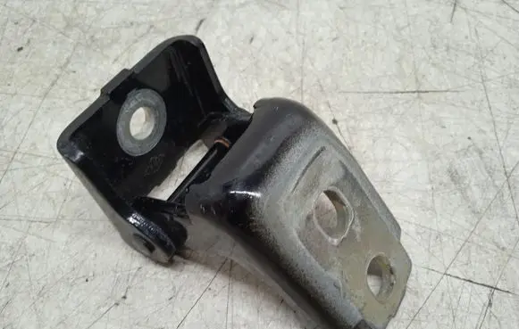 Renault Scenic III - Grand scenic III Rear door lower hinge 804200003R