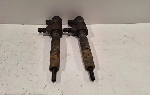 Fiat Idea Fuel injector 0445110112
