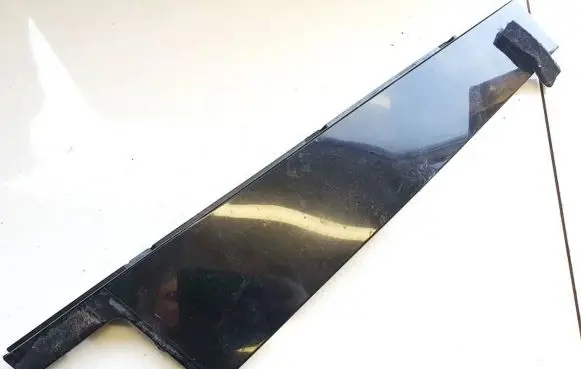 Other front door trim element