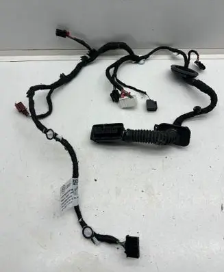 Audi e-tron Rear door wiring loom 4L0971841 2247200999 14112022