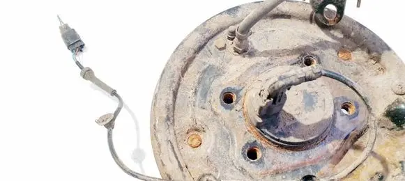 Other wiring loom