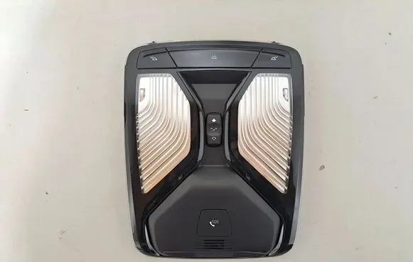BMW X5 G05 Front seat light 5B32488 5B6C612