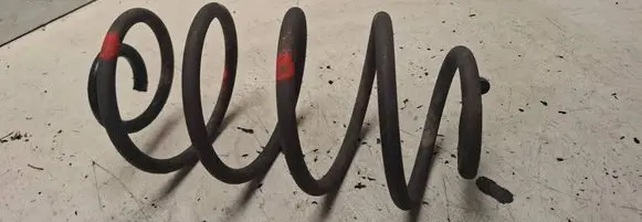 Rear coil spring