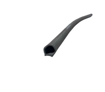 Dodge Charger Rubber seal rear door 43791C