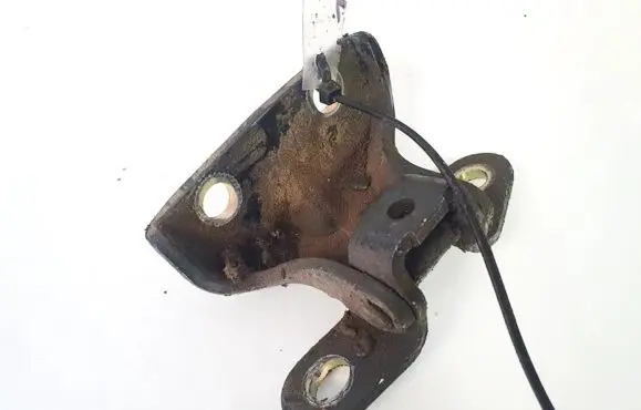 Hyundai Sonata Rear door lower hinge