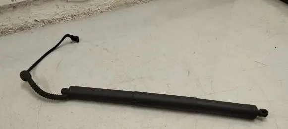 Tailgate strut