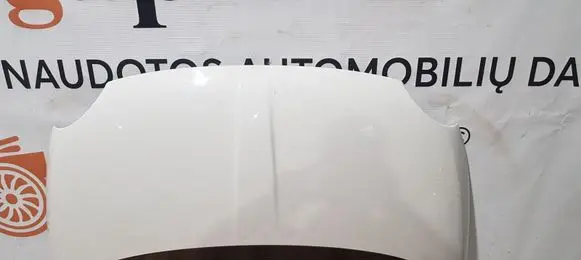 Engine bonnet/hood