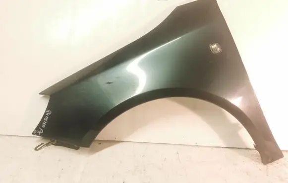 Skoda Roomster (5J) Fender