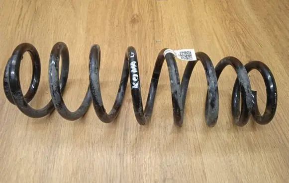 Rear coil spring