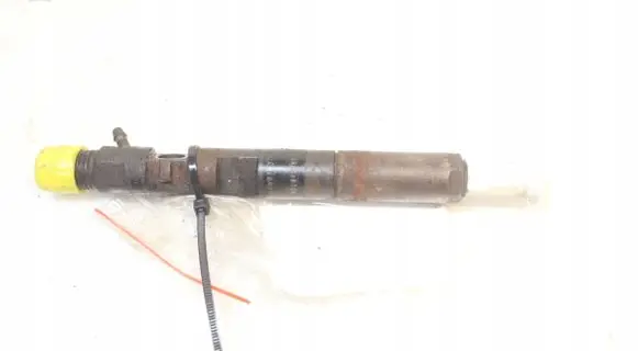 Renault Fluence Fuel injector