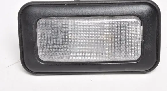 Alfa Romeo 4C Headlining lighting console trim 08896002