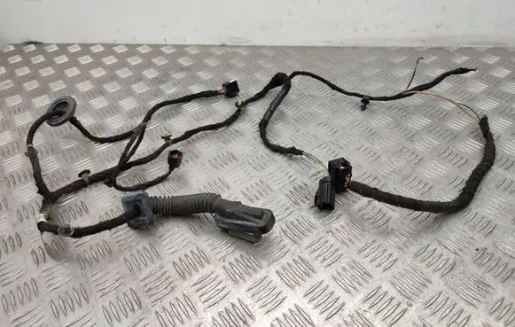 Rear door wiring loom