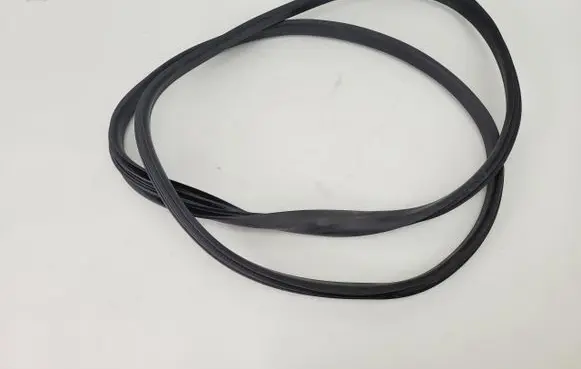 Renault Zoe Rubber seal rear door 