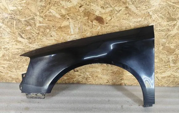 Volkswagen PASSAT B6 Fender