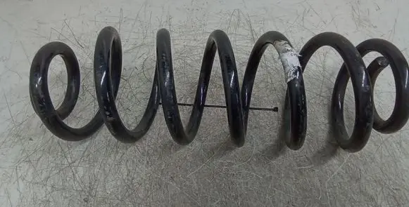 Volkswagen Tiguan Rear coil spring