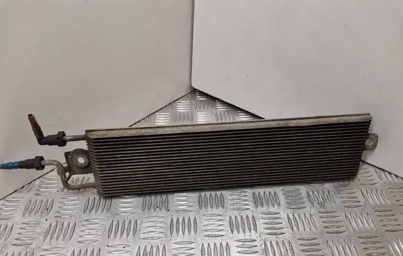 Alarm system siren