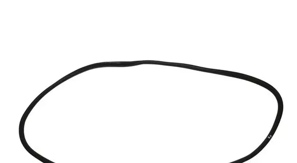 BMW 1 F40 Rubber seal front door (on door) 7452341