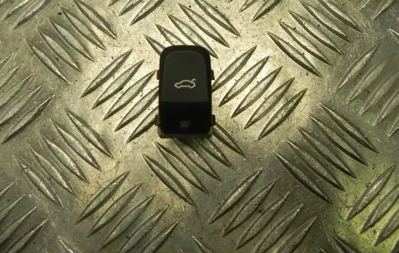 Tailgate opening switch