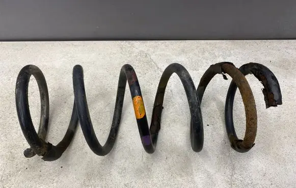 Rear coil spring